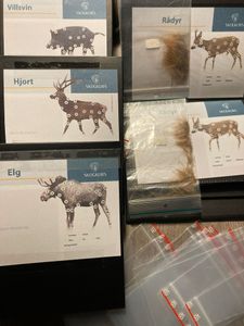 Hovedbilde Snitth&aring;rsb&oslash;ker - ELG